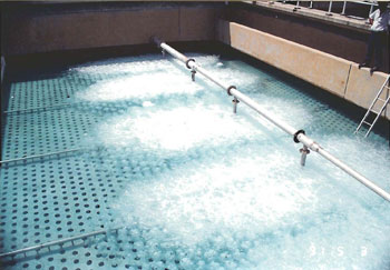 Engineering and Process Design, Supply Process Equipment